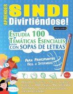 Aprender Sindi Divirtiéndose! - Para Principiantes