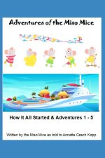 Adventures of the Miso Mice