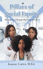 Pillars of Social Equity
