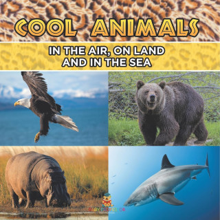 Cool Animals