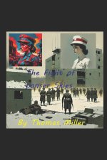 The Fight Of Panser Skies