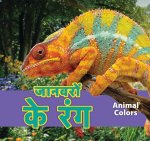 जानवरों के रंग/Animal Colors (Hindi)