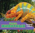Окраска животных/Animal Colors (Russian)