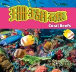 珊瑚礁/Coral Reefs (Mandarin)