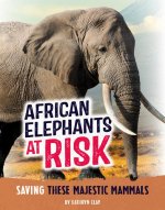 African Elephants at Risk