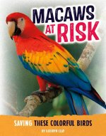 Macaws at Risk