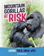 Mountain Gorillas at Risk