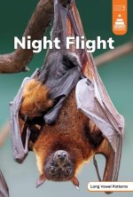 Night Flight