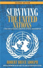 Surviving the United Nations