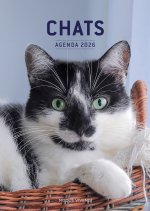Chats - Agenda 2026