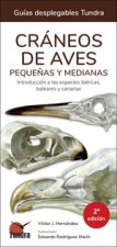Craneos De Aves PequeŃAs Y Medianas