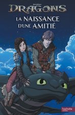 Dragons (film) - L'histoire du film