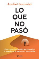 Lo Que No Paso