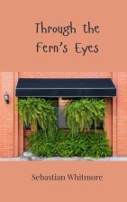 Through the Fern's Eyes