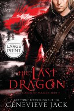 The Last Dragon