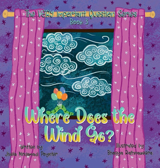 Where Does the Wind Go?