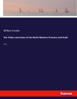 The Tribes and Castes of the North-Western Province and Oudh