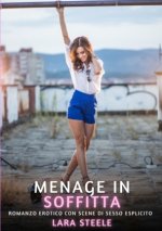 Menage in Soffitta