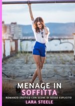 Menage in Soffitta