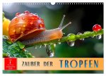 Zauber der Tropfen (Wandkalender 2026 DIN A3 quer), CALVENDO Monatskalender