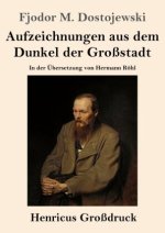 Aufzeichnungen aus dem Dunkel der Großstadt (Großdruck)