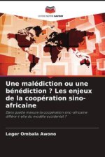 Une malédiction ou une bénédiction ? Les enjeux de la coopération sino-africaine