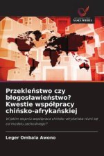 Przekle?stwo czy b?ogos?awie?stwo? Kwestie wspó?pracy chi?sko-afryka?skiej