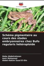 Schéma pigmentaire au cours des stades embryonnaires chez Bufo regularis hétéroplo?de