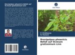 Brevipalpus phoenicis Befall auf Ocimum gratissimum Linn