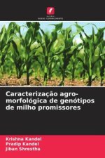 Caracterizaç?o agro-morfológica de genótipos de milho promissores