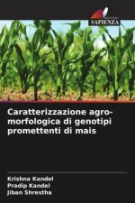 Caratterizzazione agro-morfologica di genotipi promettenti di mais