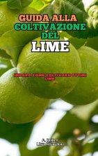 Guida alla Coltivazione di Lime