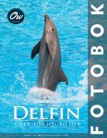 Delfin