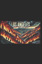 Los Angeles 2025 Fires