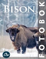 Bison