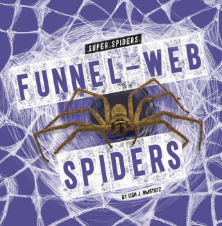 Funnel-Web Spiders