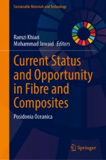 Current Status and Opportunity in Fibre and Composites