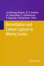 Remediation and Carbon Capture in Mining Sector