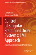 Control of Singular Fractional Order Systems: LMI Approach