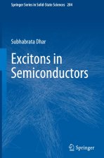 Excitons in Semiconductors