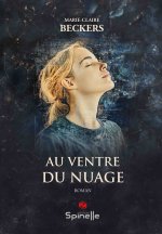 Au ventre du nuage
