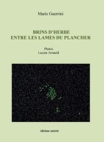Brins d’herbe entre les lames du plancher