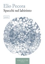 Specchi nel labirinto