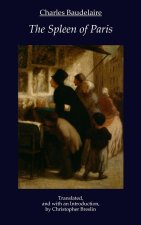 The Spleen of Paris