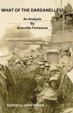 WHAT OF THE DARDANELLES?