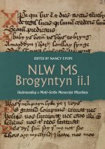 Nlw MS Brogyntyn II.1