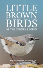 Little Brown Birds