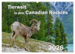 Tierwelt in den Canadian Rockies (Wandkalender 2026 DIN A2 quer), CALVENDO Monatskalender
