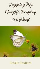 Juggling My Thoughts, Dropping Everything