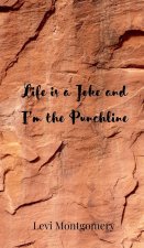 Life is a Joke and I'm the Punchline